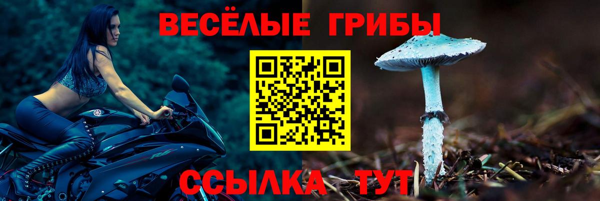 Псилоцибиновые грибы мухоморы  Псилоцибиновые грибы Magic Shrooms  Вход с VPN  Строитель 